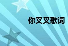 你叉叉歌詞（你叉叉的歌名）