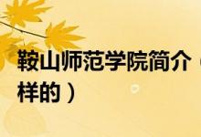 鞍山師范學(xué)院簡介（鞍山師范學(xué)院的簡介是怎樣的）