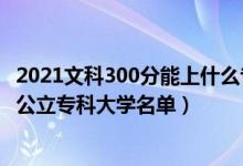 2021文科300分能上什么專科大學(xué)（2022高考文科300多分公立?？拼髮W(xué)名單）