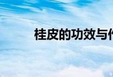 桂皮的功效與作用（快來(lái)看看吧）