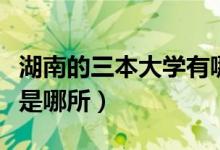 湖南的三本大學有哪些（湖南最好的三本院校是哪所）