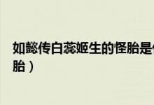如懿傳白蕊姬生的怪胎是什么（如懿傳白蕊姬為什么生了怪胎）