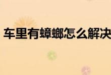 車里有蟑螂怎么解決（汽車里有蟑螂怎么辦）