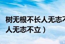 樹無根不長(zhǎng)人無志不立是諺語嗎（樹無根不長(zhǎng)人無志不立）