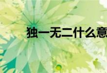 獨(dú)一無(wú)二什么意思（獨(dú)一無(wú)二出處）