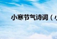 小寒節(jié)氣詩(shī)詞(小寒節(jié)氣的優(yōu)美詩(shī)詞)