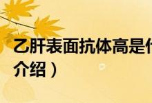 乙肝表面抗體高是什么意思（乙肝表面抗體高介紹）