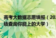 高考大數(shù)據(jù)志愿填報(bào)（2022年高考志愿大數(shù)據(jù)查詢：輸入成績查詢你能上的大學(xué)）