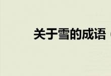 關(guān)于雪的成語（雪的成語有哪些）
