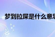 夢(mèng)到拉屎是什么意思（為什么會(huì)夢(mèng)到拉屎）