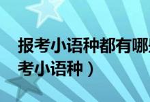報考小語種都有哪些分類（2022高考如何報考小語種）