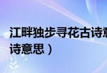 江畔獨(dú)步尋花古詩(shī)意思解釋（江畔獨(dú)步尋花古詩(shī)意思）