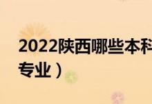 2022陜西哪些本科大學(xué)開設(shè)?？疲ǘ加惺裁磳I(yè)）