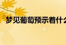 夢(mèng)見(jiàn)葡萄預(yù)示著什么（九種情況為你解析）