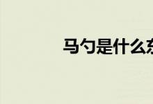 馬勺是什么東西（馬勺資料）