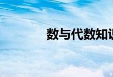數(shù)與代數(shù)知識點(diǎn)（數(shù)與代數(shù)）