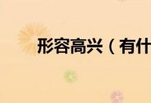 形容高興（有什么表達(dá)高興的詞語）