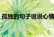 孤獨(dú)的句子說說心情（孤獨(dú)的句子句句戳心）