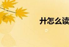 廾怎么讀（廾怎么念）