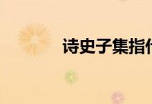 詩(shī)史子集指什么（詩(shī)史是誰(shuí)）