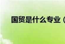 國貿(mào)是什么專業(yè)（2022就業(yè)前景如何）
