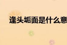 逢頭垢面是什么意思（蓬頭垢面的出處）
