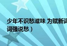 少年不識(shí)愁滋味 為賦新詞強(qiáng)說愁（少年不知愁滋味 為賦新詞強(qiáng)說愁）