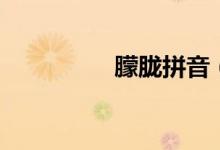 朦朧拼音（朦朧怎么拼）