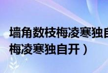 墻角數(shù)枝梅凌寒獨(dú)自開(kāi)告訴我什么（墻角數(shù)枝梅凌寒獨(dú)自開(kāi)）