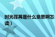 時光荏苒是什么意思啊怎么讀（時光荏苒是什么意思啊怎么讀）