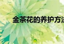 金茶花的養(yǎng)護(hù)方法(金茶花如何養(yǎng)護(hù))