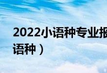 2022小語(yǔ)種專業(yè)報(bào)考條件（什么考生適合小語(yǔ)種）