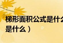 梯形面積公式是什么時(shí)候?qū)W的（梯形面積公式是什么）