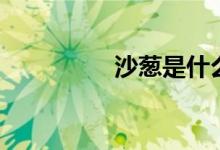 沙蔥是什么（沙蔥簡(jiǎn)介）