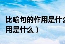 比喻句的作用是什么請(qǐng)簡(jiǎn)要說(shuō)明（比喻句的作用是什么）