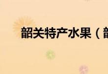 韶關特產水果（韶關特產水果的介紹）