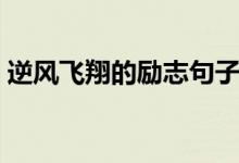 逆風飛翔的勵志句子（表達逆風飛翔的說說）