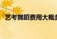 藝考舞蹈費(fèi)用大概多少（集訓(xùn)需要多少錢(qián)）