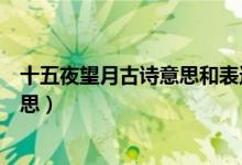 十五夜望月古詩意思和表達(dá)的思想感情（十五夜望月古詩意思）