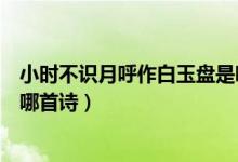 小時(shí)不識(shí)月呼作白玉盤是哪首詩（小時(shí)不識(shí)月呼作白玉盤是哪首詩）