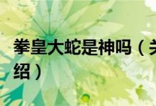 拳皇大蛇是神嗎（關(guān)于拳皇神大蛇和神蛟的介紹）