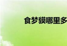 食夢(mèng)貘哪里多（具體資料介紹）