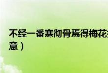 不經(jīng)一番寒徹骨焉得梅花撲鼻香說明了什么道理（有什么寓意）
