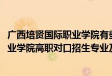 廣西培賢國(guó)際職業(yè)學(xué)院有些什么專業(yè)（2022廣西培賢國(guó)際職業(yè)學(xué)院高職對(duì)口招生專業(yè)及計(jì)劃）