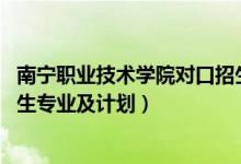 南寧職業(yè)技術學院對口招生計劃（2022南寧學院高職對口招生專業(yè)及計劃）