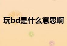 玩bd是什么意思?。ㄍ鎎d到底是什么意思）