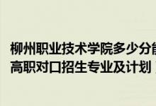 柳州職業(yè)技術(shù)學(xué)院多少分能上對口（2022柳州職業(yè)技術(shù)學(xué)院高職對口招生專業(yè)及計劃）
