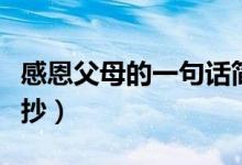 感恩父母的一句話簡短（對父母感恩的句子摘抄）