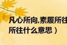 凡心所向,素履所往是誰說的（凡心所向素履所往什么意思）