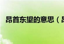 昂首東望的意思(昂首東望的意思是什么)